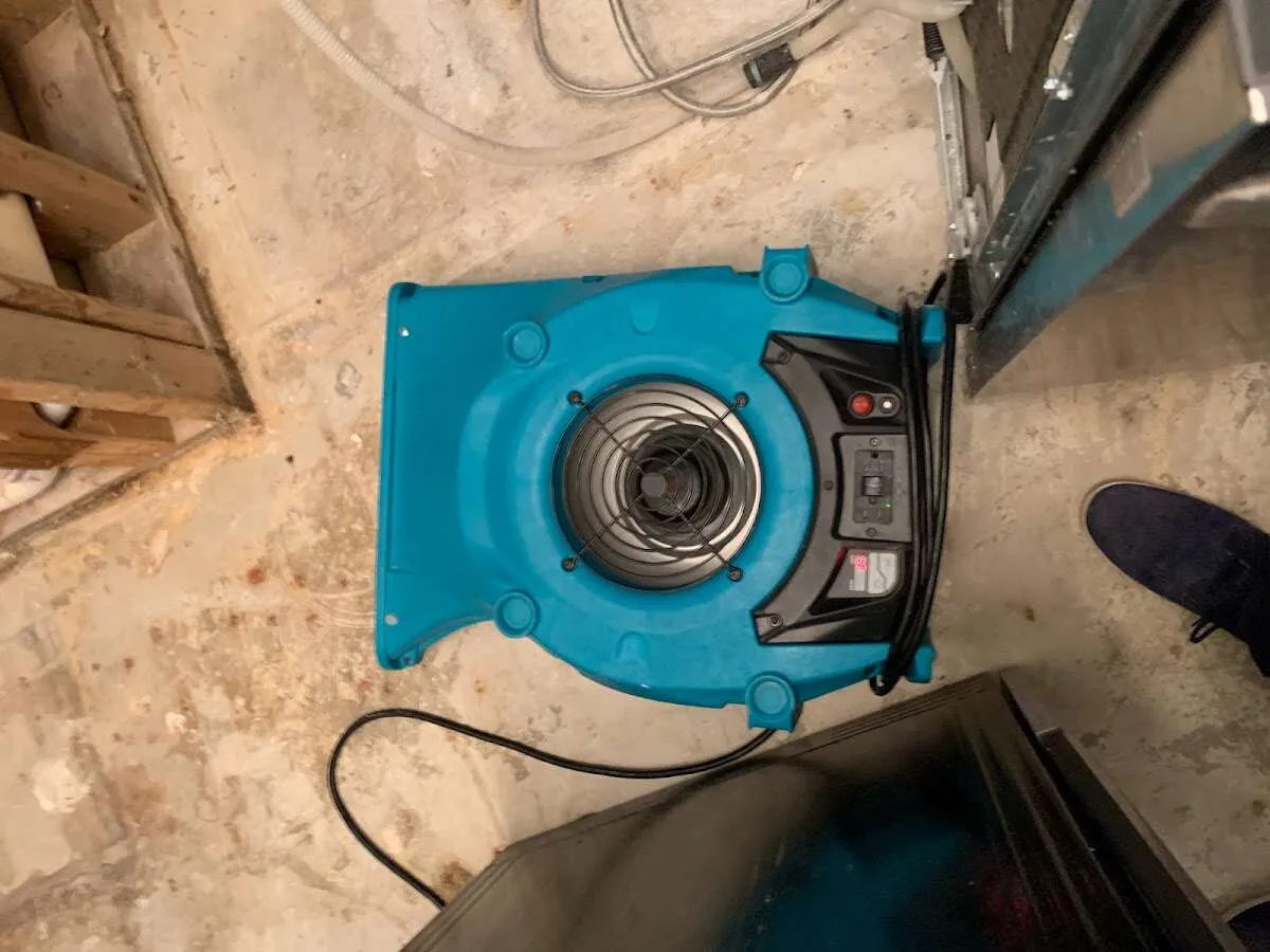 Air mover drying equipment for Mold Remediation & Removal in Lincolnwood